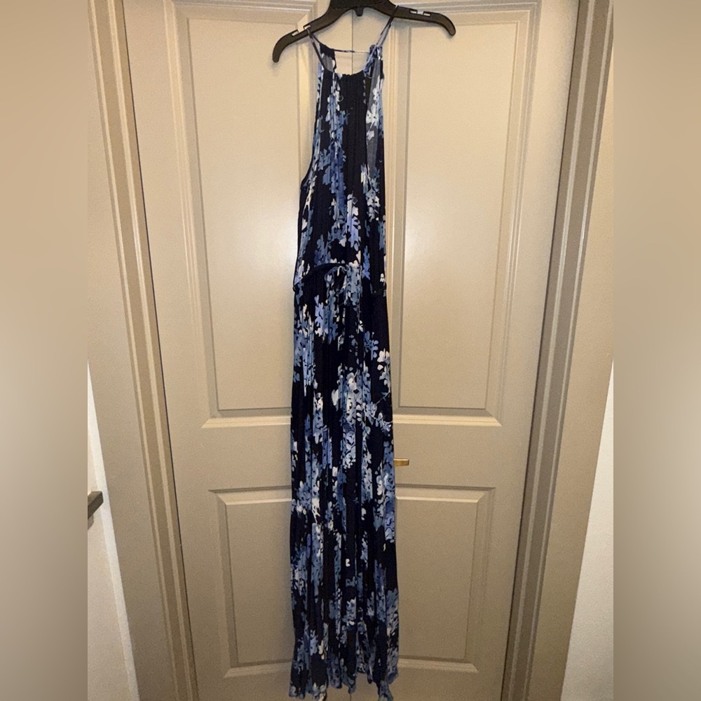 Vici Floral Maxi Dress in Blue and White